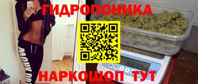 a pvp Обь