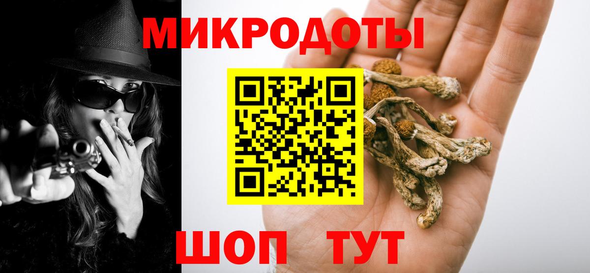 Галлюциногенные грибы MAGIC MUSHROOMS  Вход с VPN  Новокубанск  Галлюциногенные грибы Psilocybe 