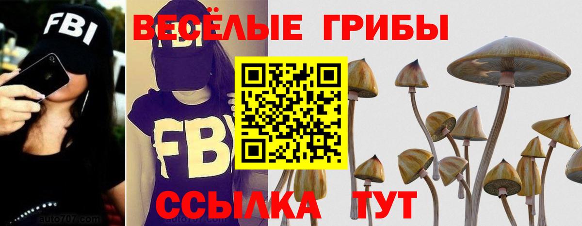 Галлюциногенные грибы прущие грибы Новокубанск