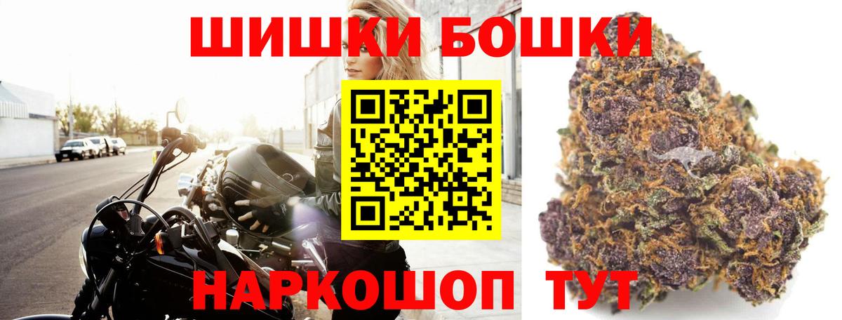 Бошки Шишки план Новокубанск